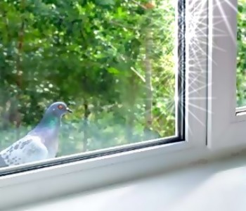 Какие выбрать пластиковые окна для дома - статьи