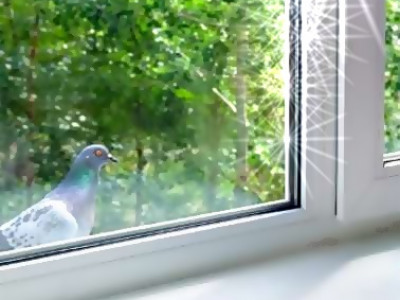 Какие выбрать пластиковые окна для дома